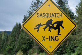 sasquatch