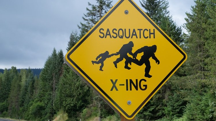 sasquatch