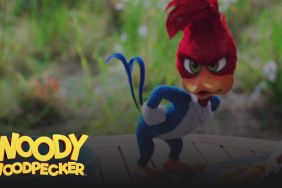 Woody Woodpecker movie 2017