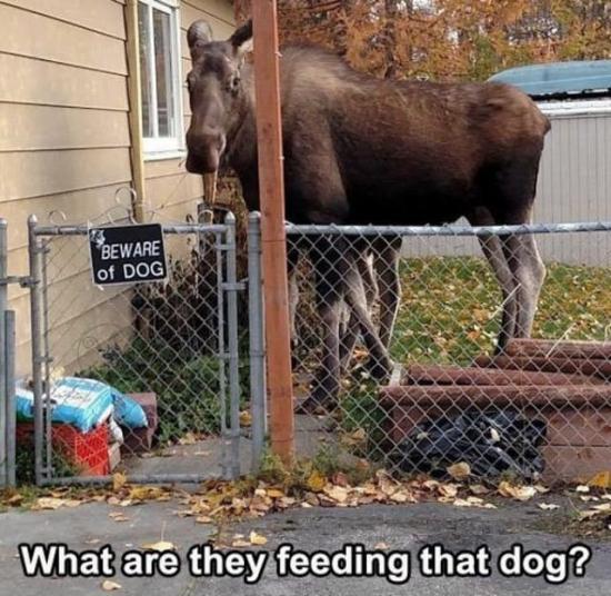 funny photos 3-16-18