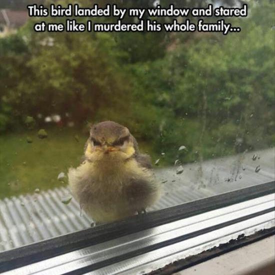 funny photos 4-13-18