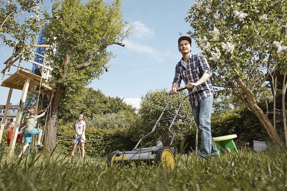 son cuts giant penis into lawn