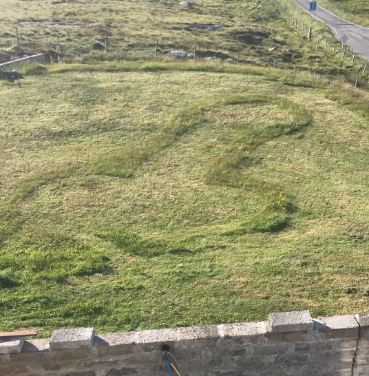 son cuts giant penis lawn