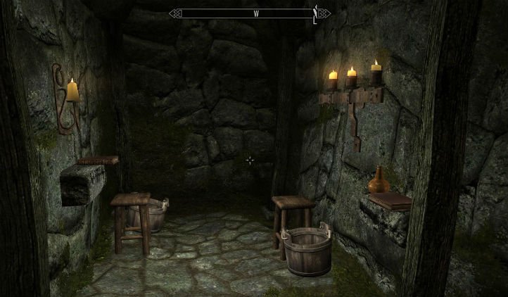 play skyrim on toilet