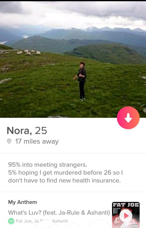 Funny Tinder bios found online