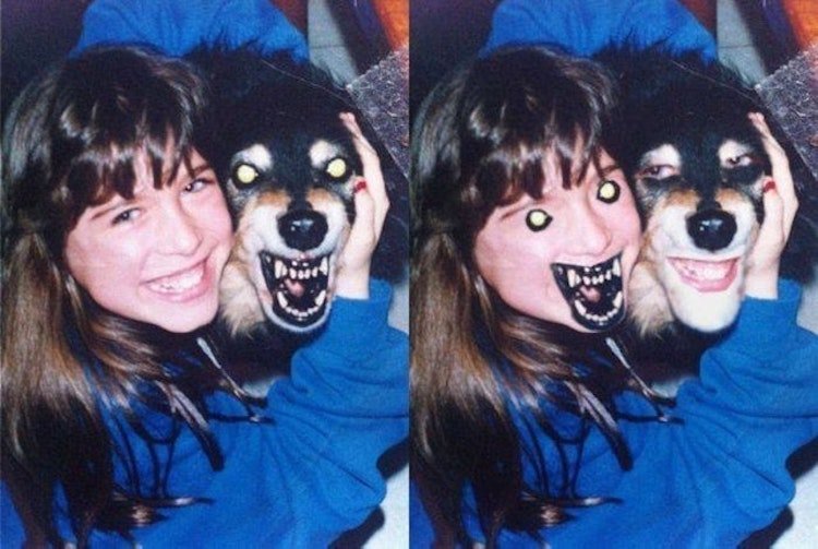funny photos