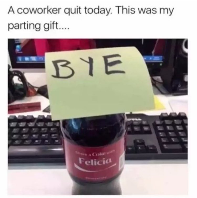 funny photos 8-21-18