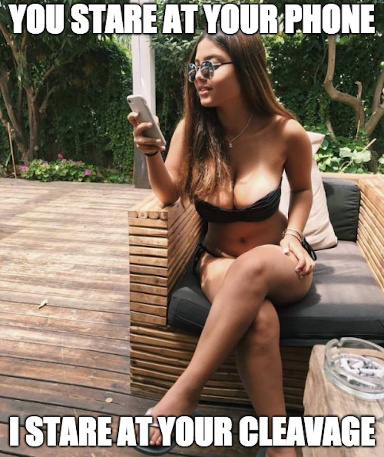 funny photos 8-2-18