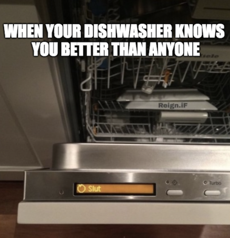 funny photos 8-17-18
