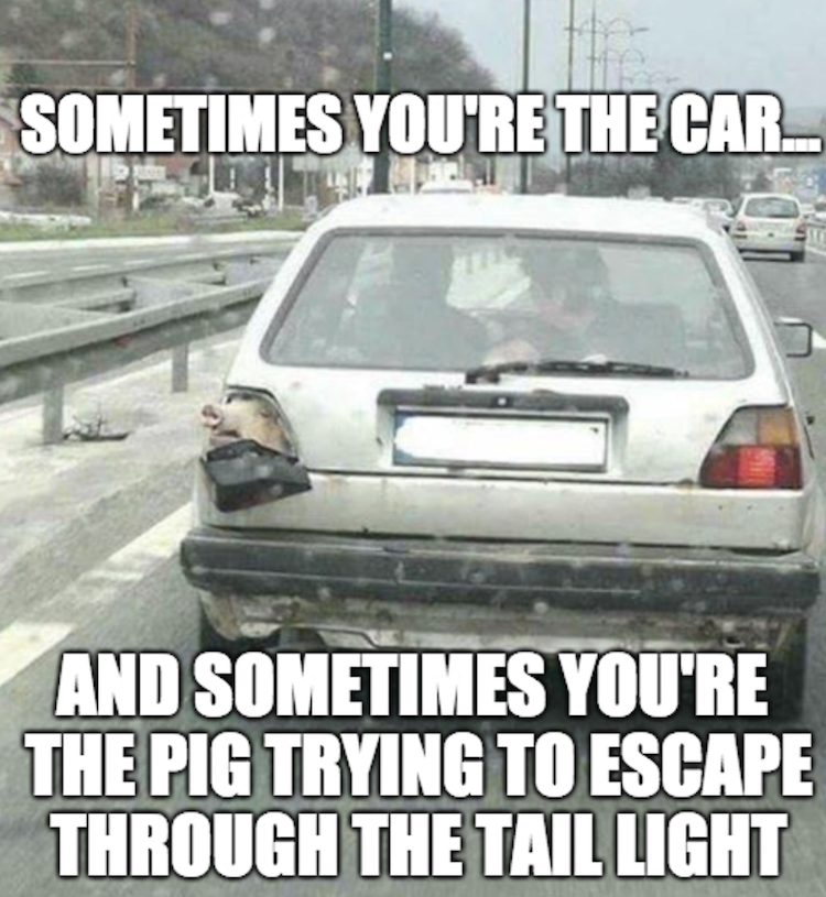 funny photos 8-21-18