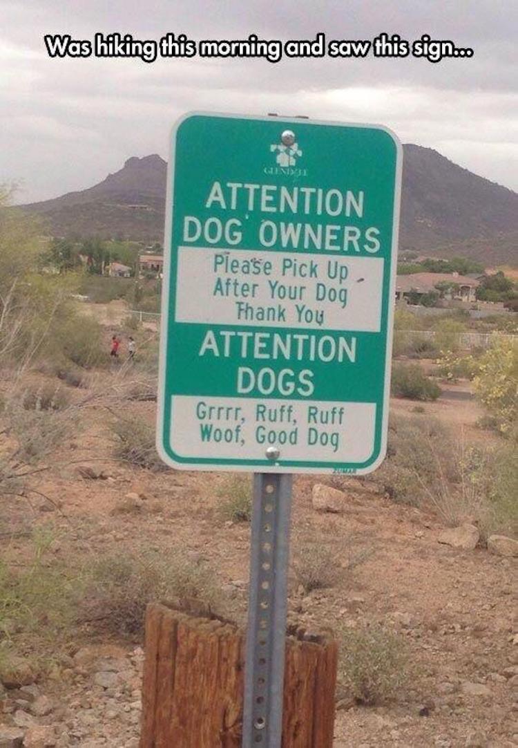 funny photos 8-10-18