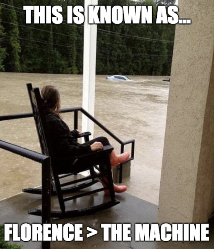 funny photos 9-19-18