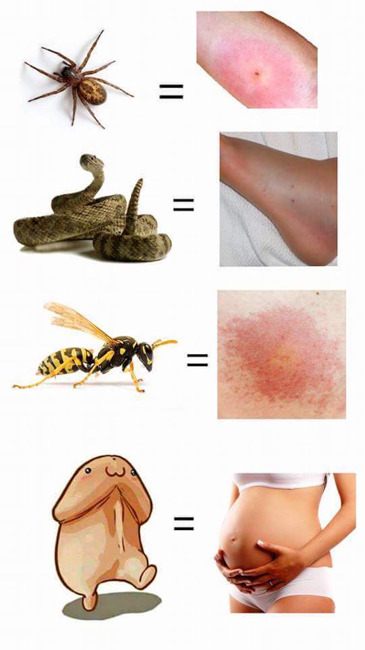 funny photos 9-18-18