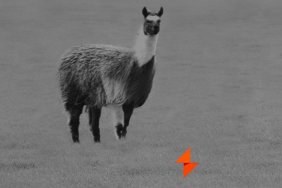 Winamp 6 Llama