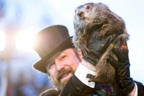 Punxsutawney Phil