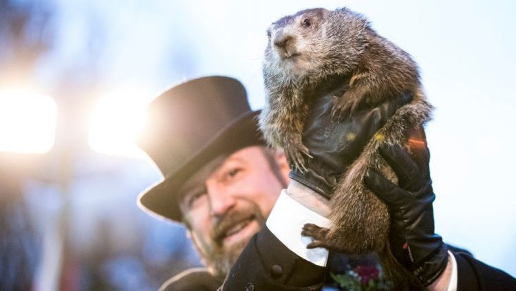 Punxsutawney Phil