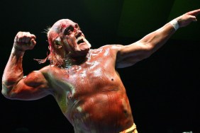 Hulk Hogan