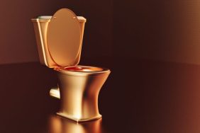 gold toilet