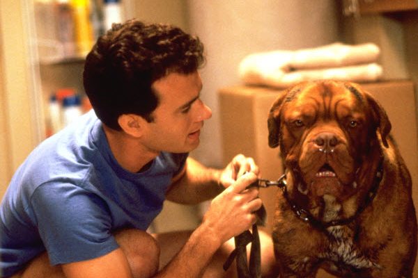 Turner and Hooch