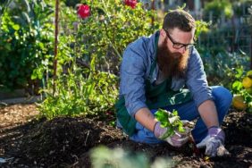 gardening