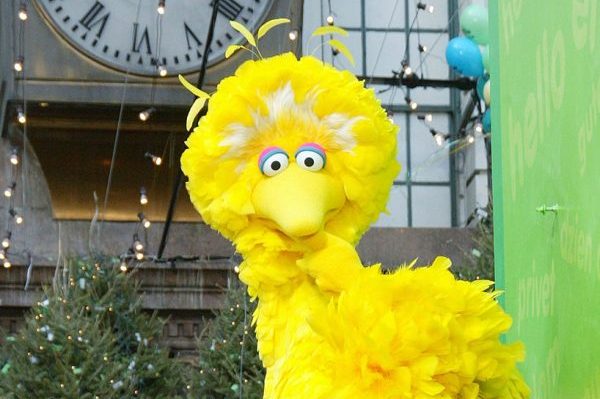 big bird