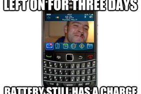 blackberry