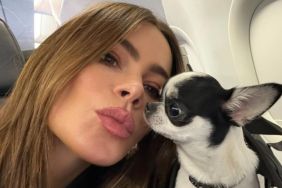 Sofia Vergara on her way to her vacation home with her dog.