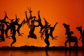 Lion King who was Marquis Floyd