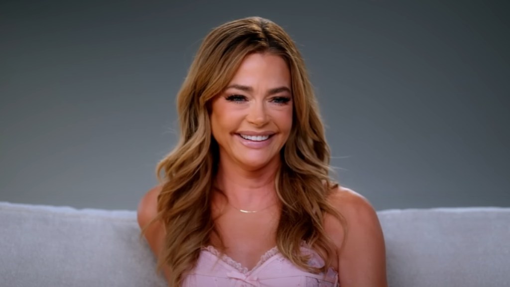 Denise Richards & Brooke Mueller Friendship After Charlie Sheen Split