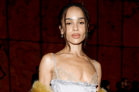 Zoe Kravitz Lacy Bra Dress