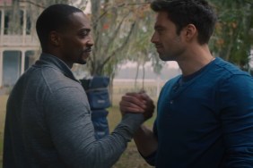 anthony mackie sebastian stan bald