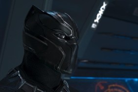 Rumor: Multiple Black Panthers to Appear in Avengers: Doomsday