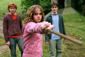Harry Potter Reboot’s Hermione, Ron & Harry Casting Gets Positive Reactions