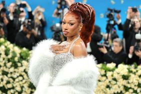Megan Thee Stallion Met Gala ban
