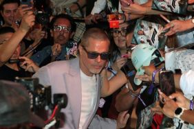 Brad Pitt f1 Mexico divorce