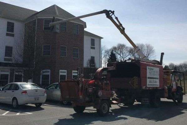 Mandatory Good News: Man Uses Bucket Truck to Visit Mom, Best Kind of Mama’s Boy