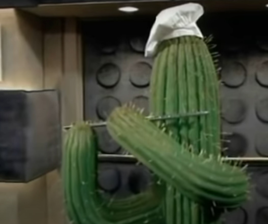 Cactus Chef