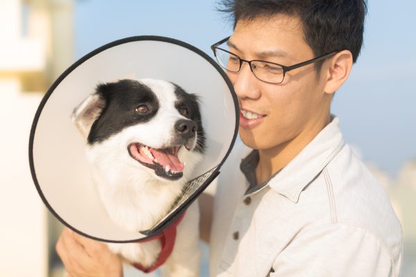 Shame Cone is the Latest Coronavirus Prevention Product (For You, Not the Dog)