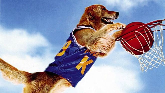 'Air Bud' (1997)