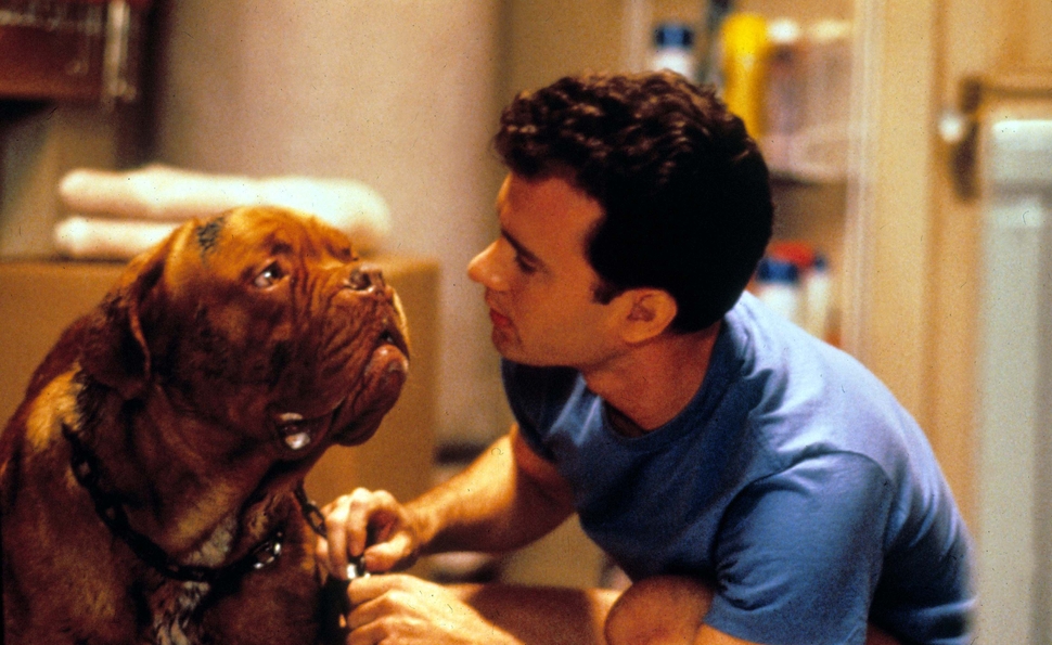 'Turner and Hooch' (1989)