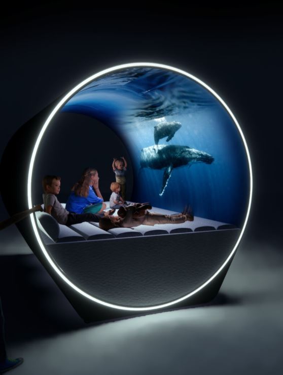 1. SensOLED Immersive Sensory Pod ($65,000)