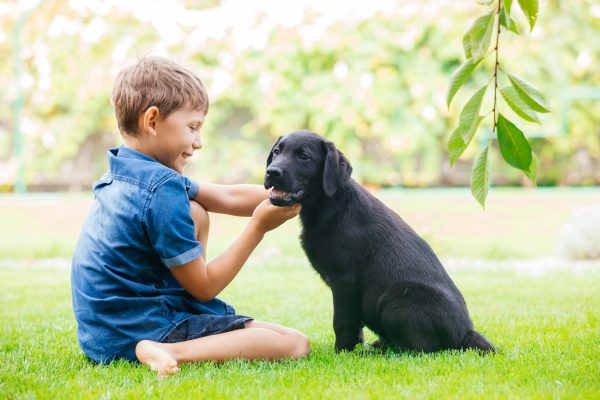 Mandatory Good News: 8-Year-Old Boy Sells Pokemon Collection to Pay Sick Puppy’s Vet Bills, Someone Help This Kid Dammit!