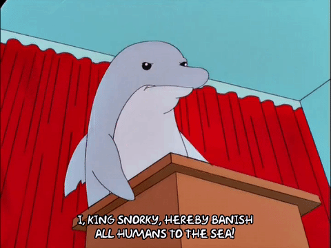 The Talking Dolphin