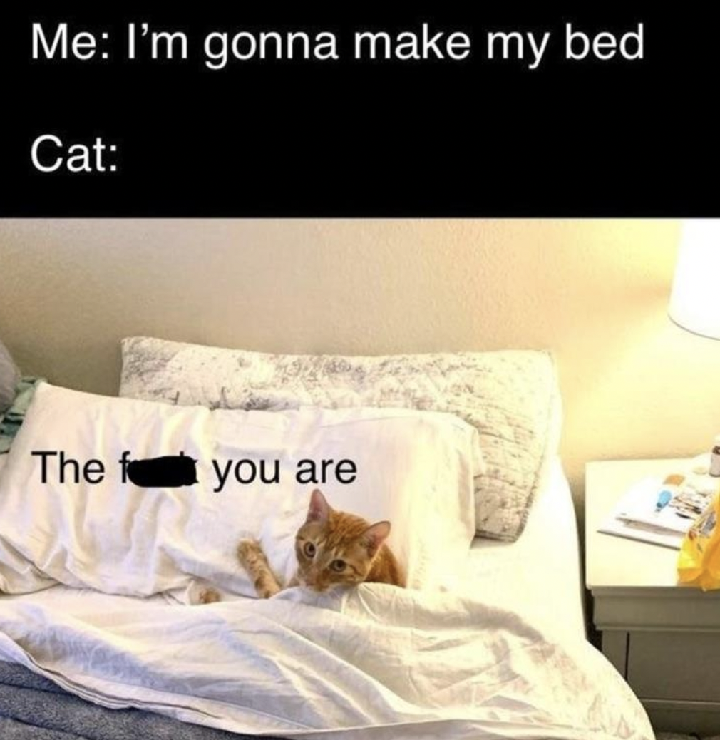 Memes of the Week 01-24-2022 #10