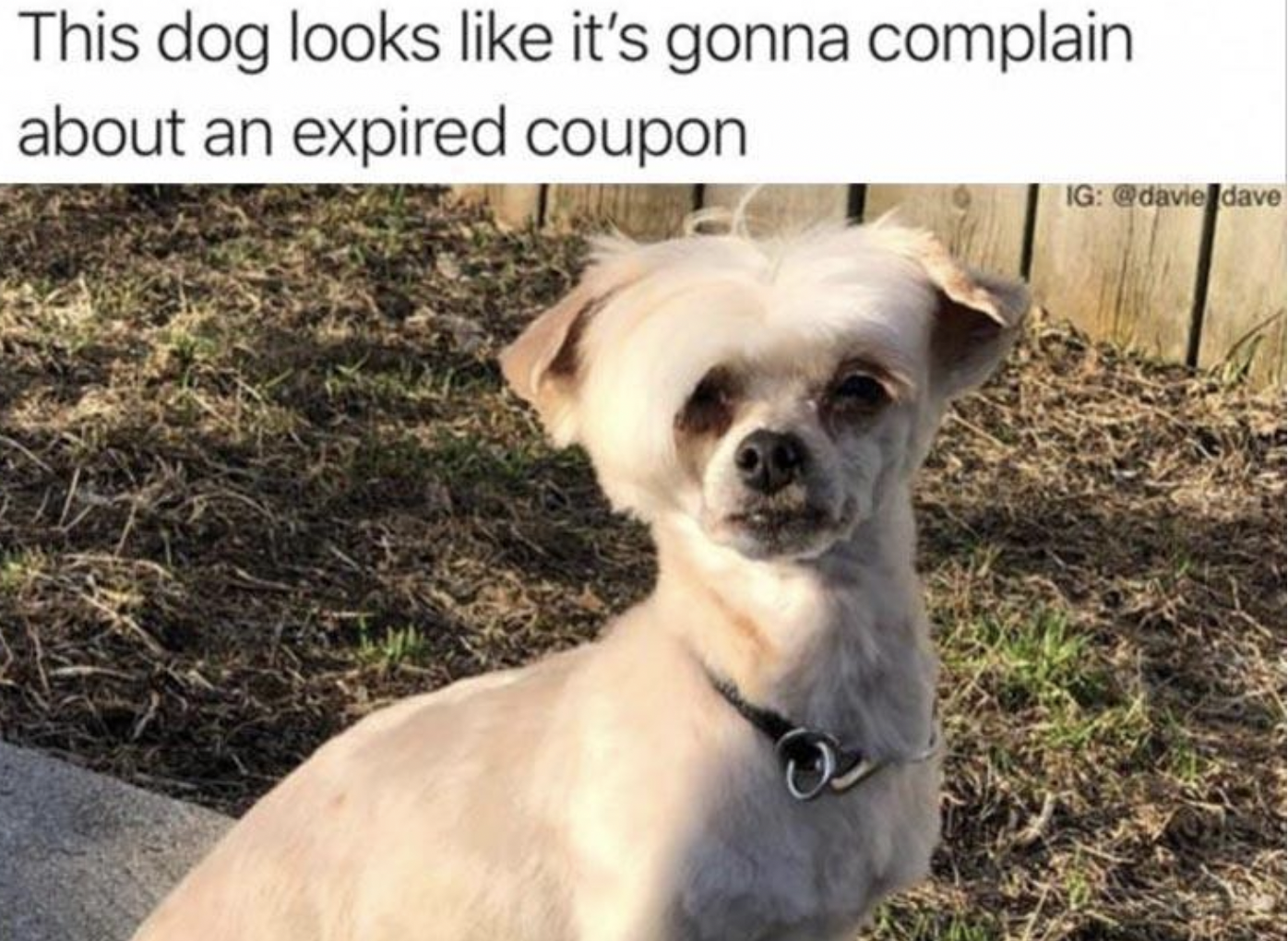 Memes of the Week 07-12-2021 #5