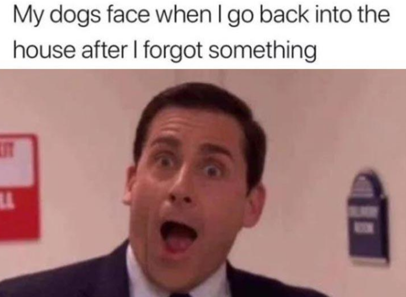 Memes of the Week 08-31-2020 #8