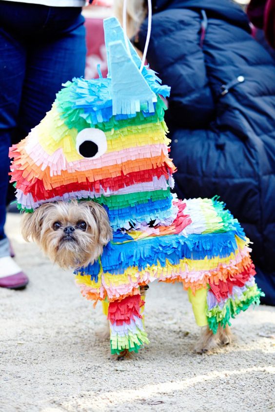 Piñata