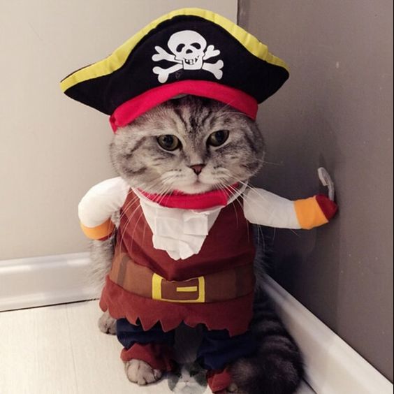 Pirate