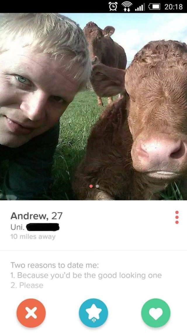 Tinder Profiles 2019 #17