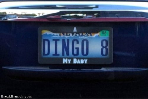 Vanity Plates #12